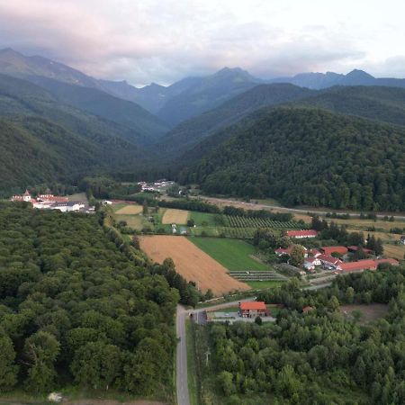 Pensiunea Maya Sîmbăta de Sus Exterior foto