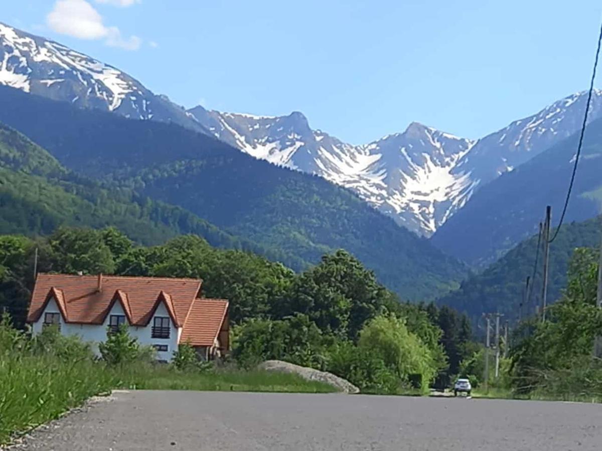 Pensiunea Maya Sîmbăta de Sus Exterior foto