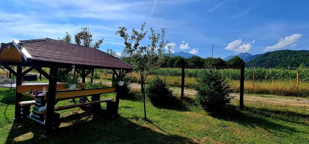 Pensiunea Maya Sîmbăta de Sus Exterior foto