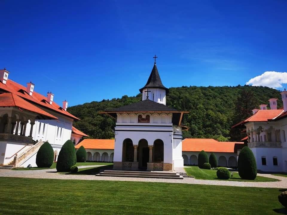 Pensiunea Maya Sîmbăta de Sus Exterior foto