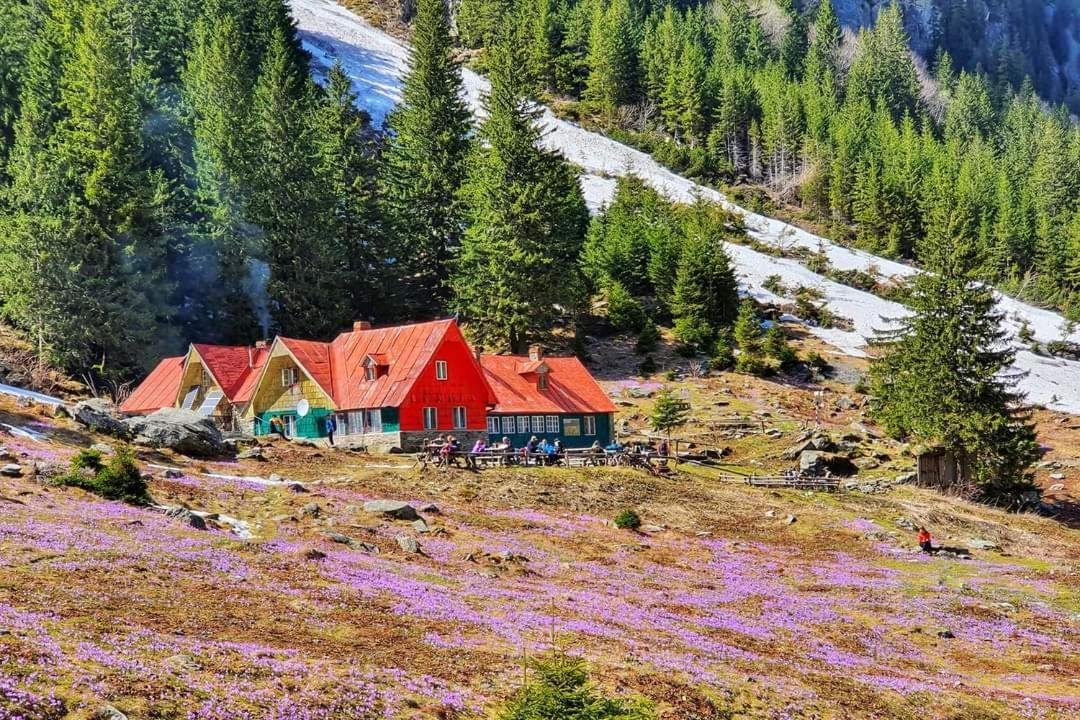 Pensiunea Maya Sîmbăta de Sus Exterior foto