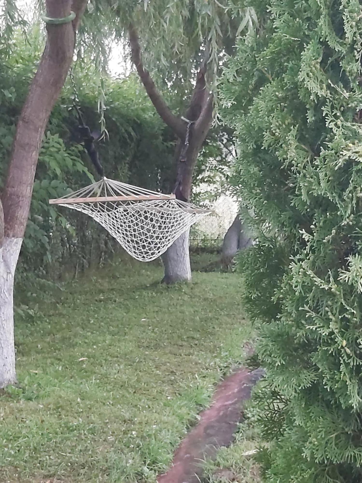 Pensiunea Maya Sîmbăta de Sus Exterior foto